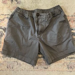 Men’s Chubbies 5.5 inch shorts